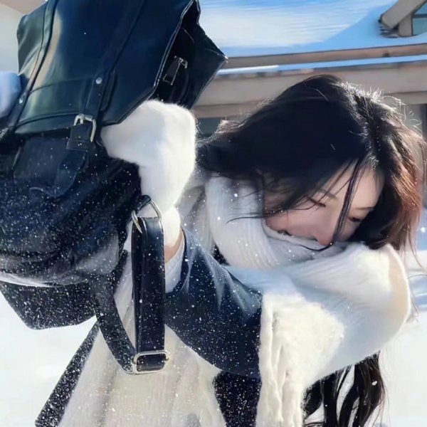 冈格尔的复仇2